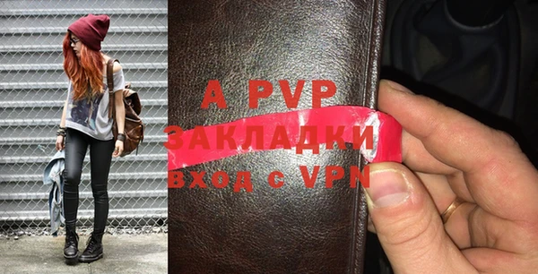 тгк Инта