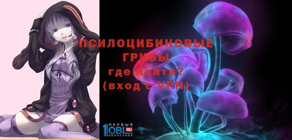 тгк Инта