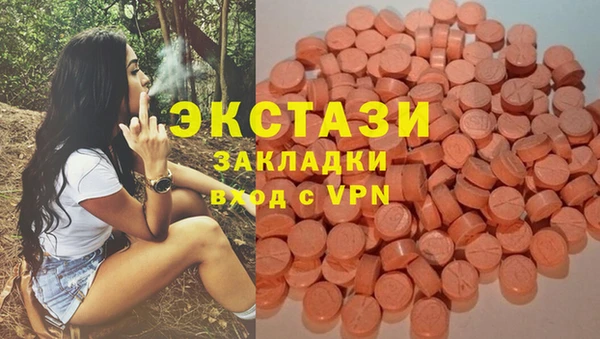 тгк Инта
