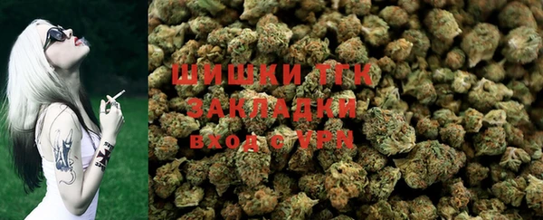 трава Инсар